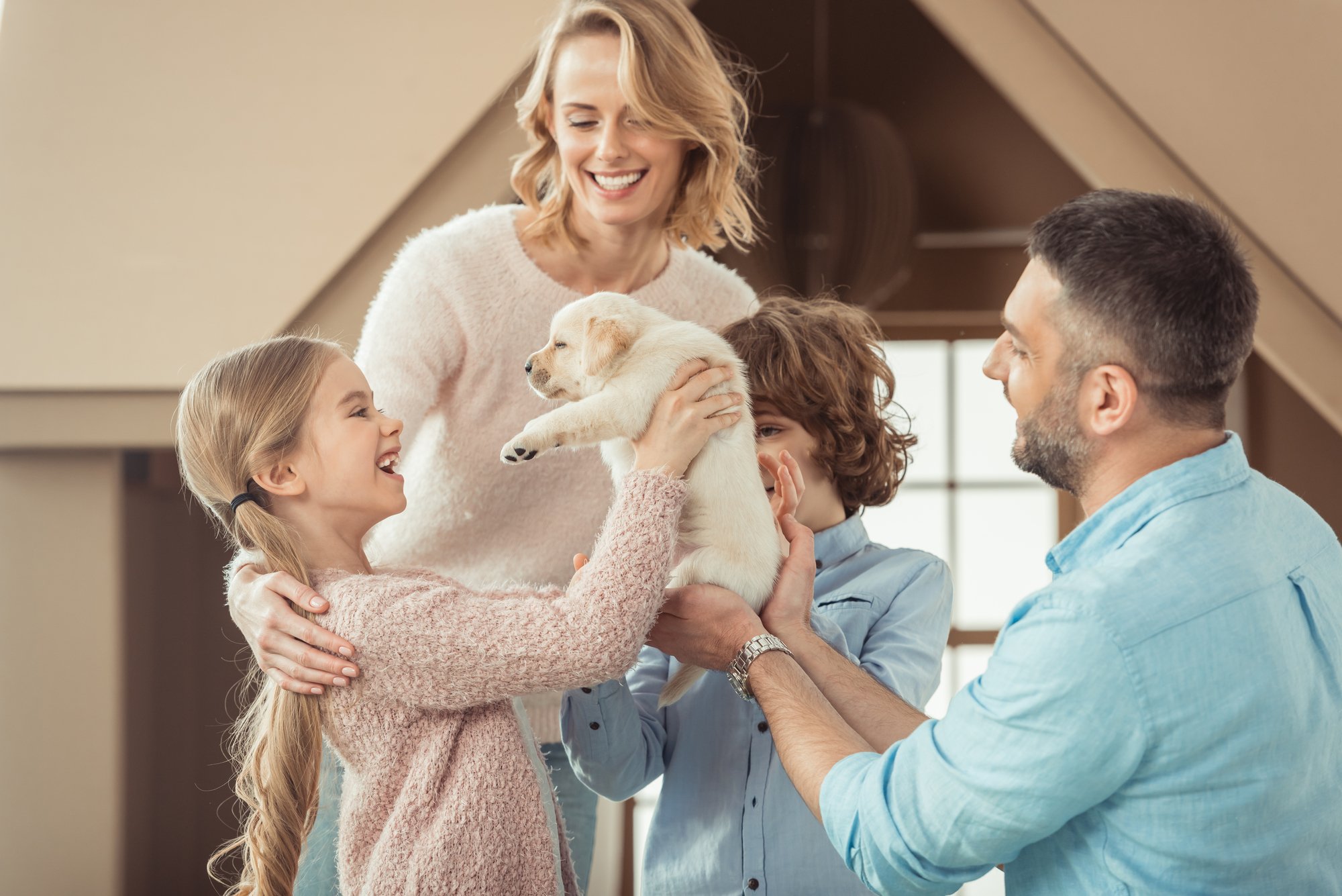Young family with beautiful labrador puppy in front of cardboard house